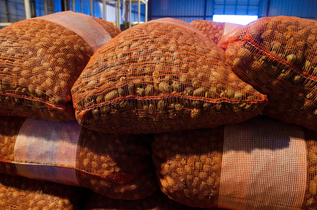 Agricultura și industria alimentară: pilonii economiei județului Olt