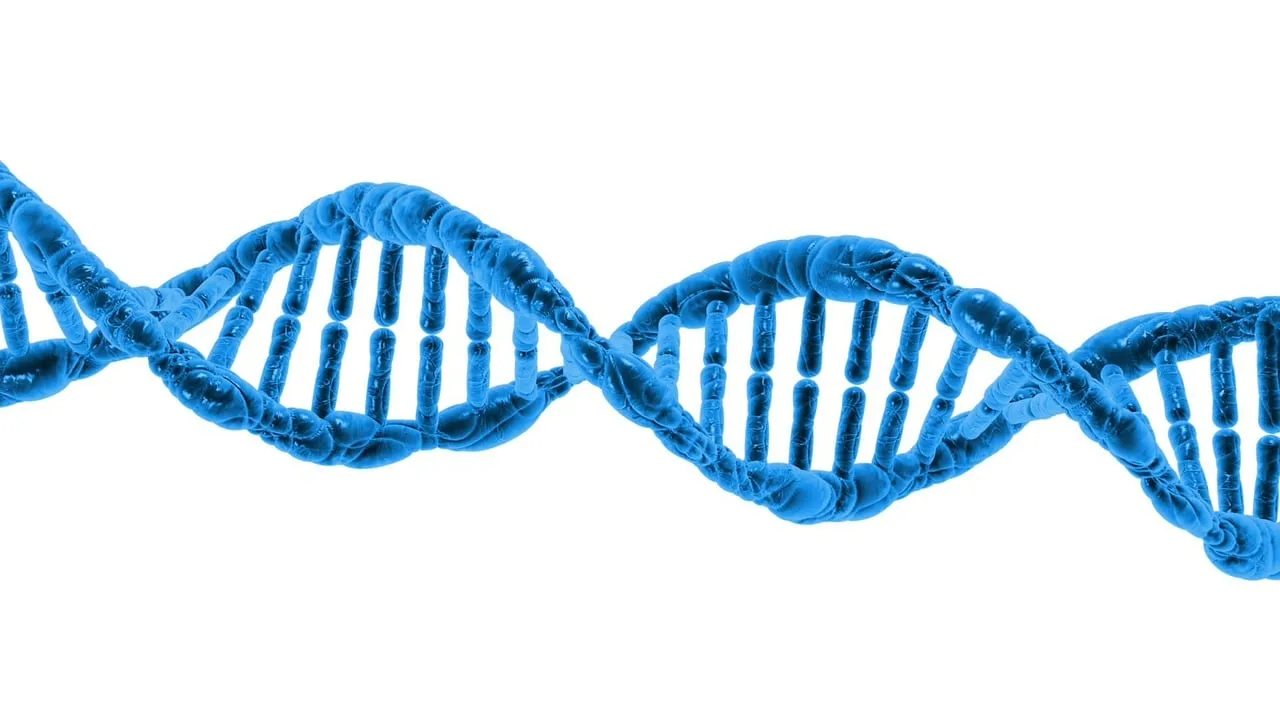 Testare genetică gratuită pentru copii și adulți în Craiova