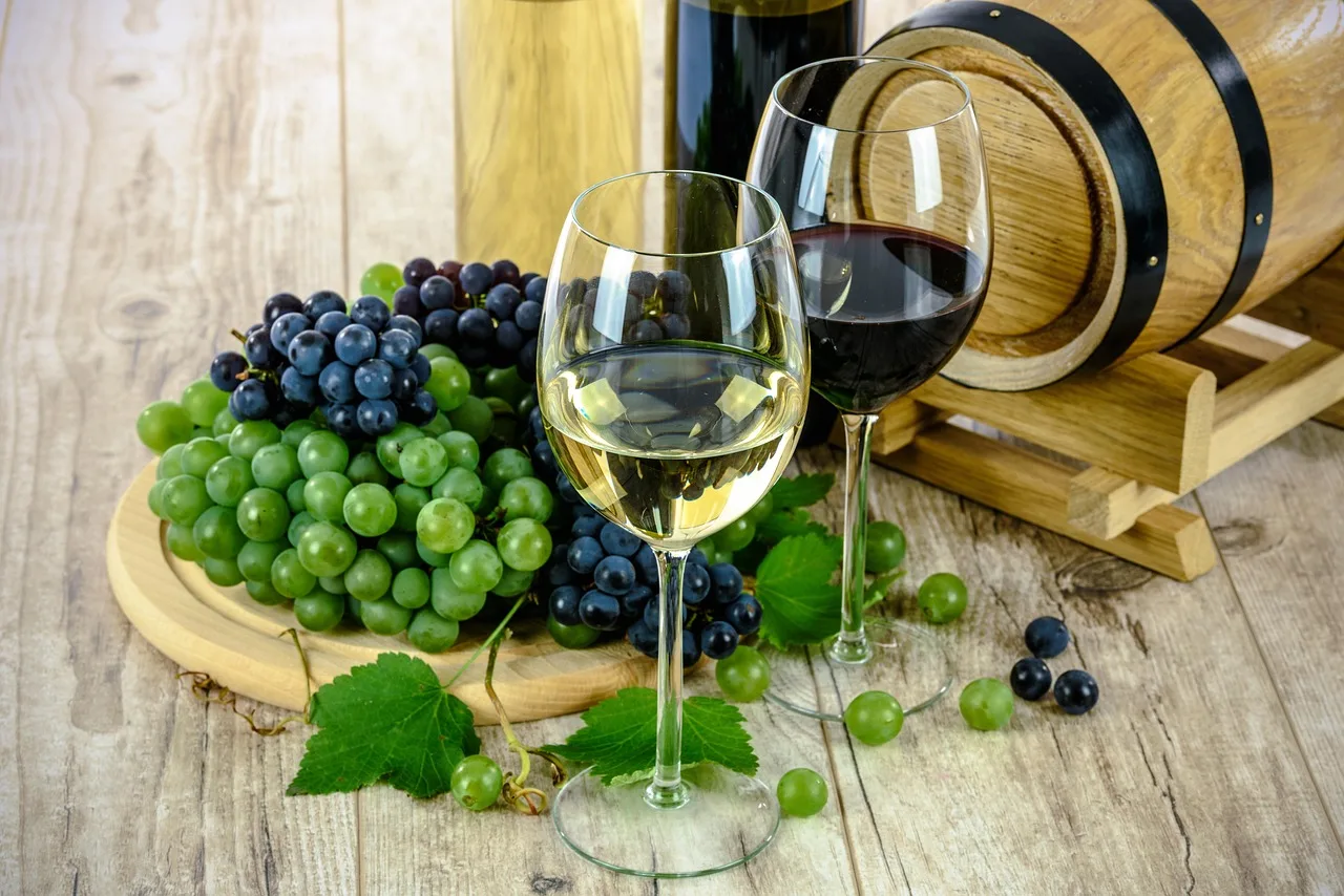Viticultura în sudul Mehedințiului: Podgoriile Vânju Mare și specificul lor